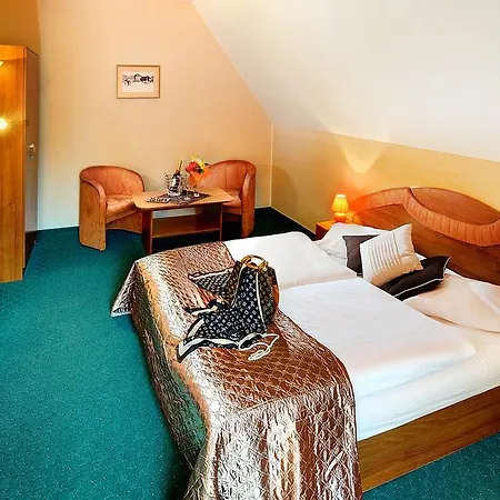 게스트하우스 Kamzik Stará Lesná